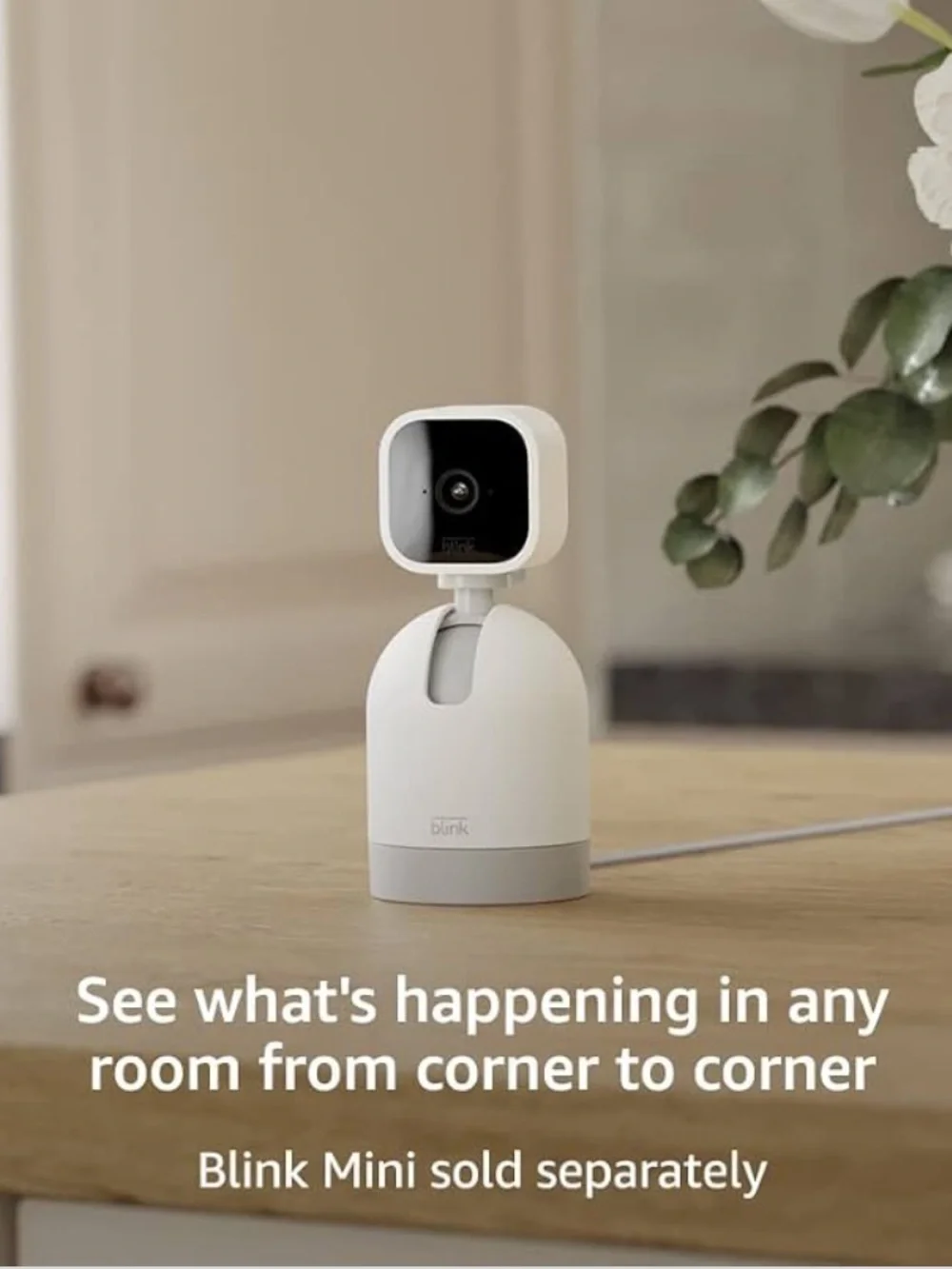Blink Mini Pan-Tilt Mount